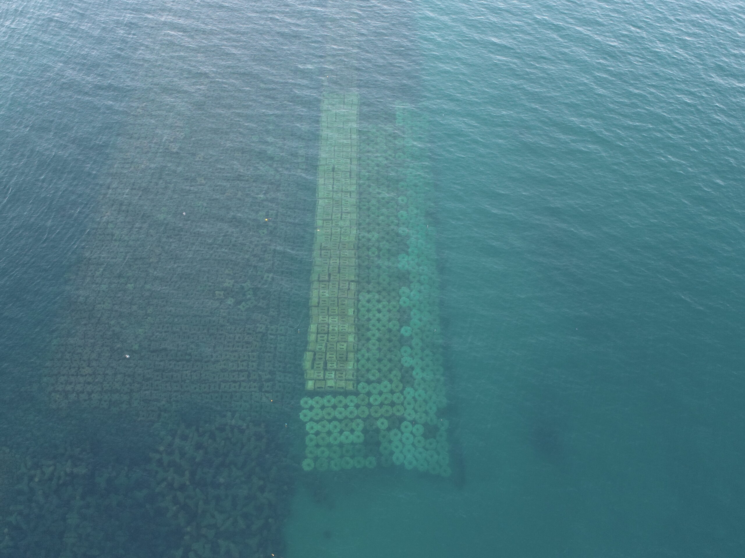 大屋海岸海岸総合交付金 人工リーフ改良ブロック据付工工事